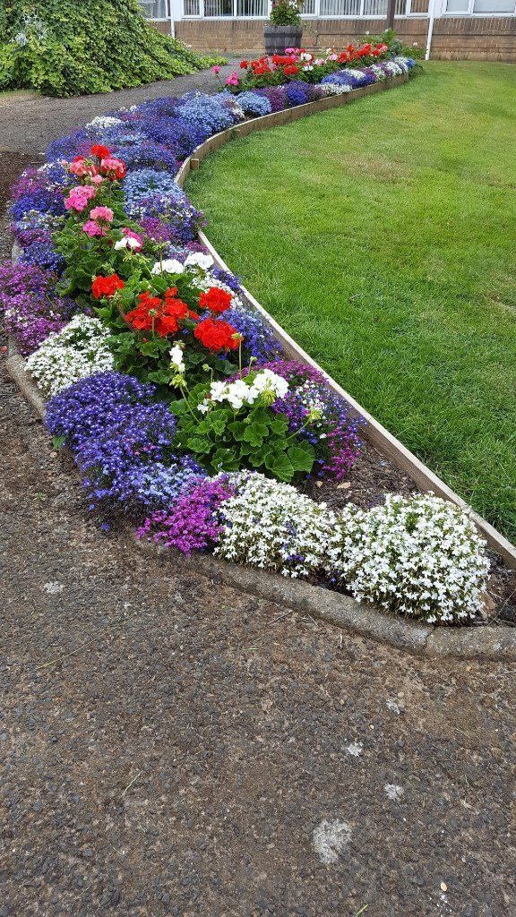 flowerbed in felixstowe - full bloom