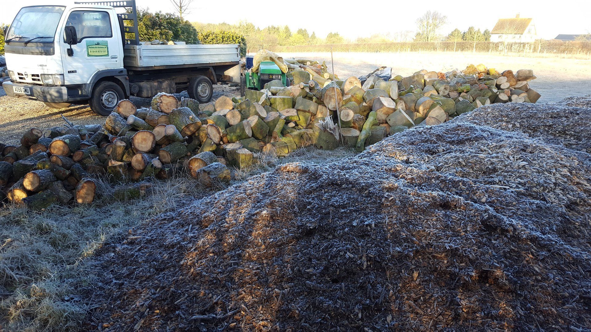 wooden logs chopped