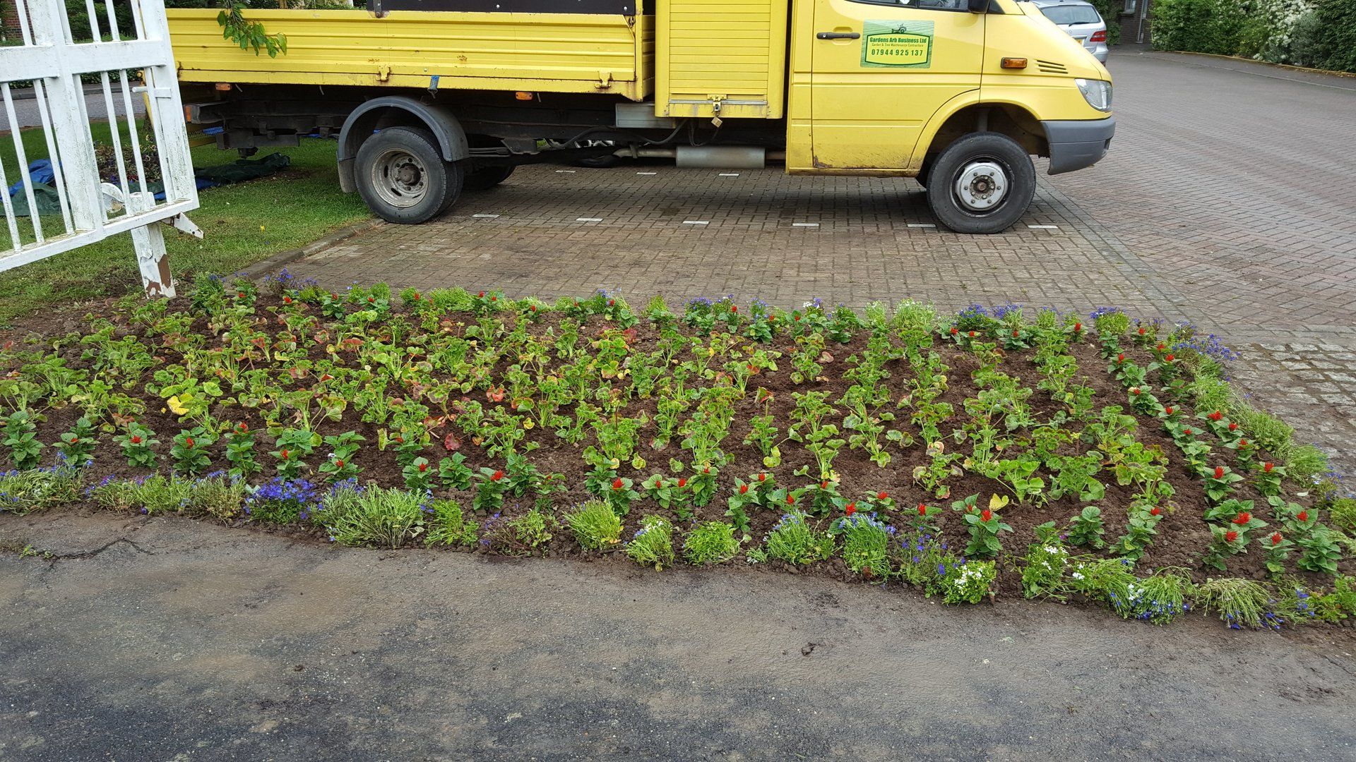 flowerbed recently planted