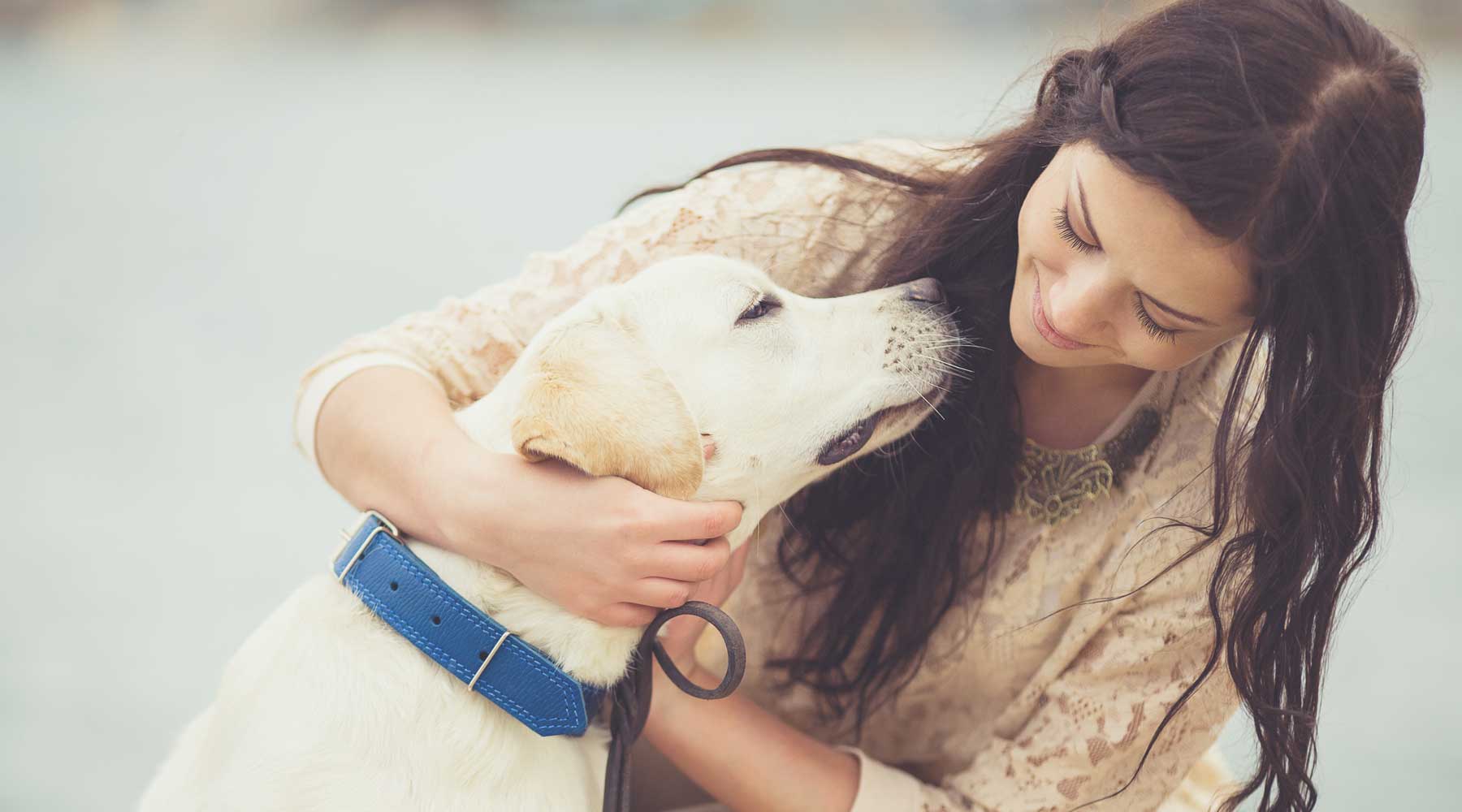 Pet memorial services in Hilo