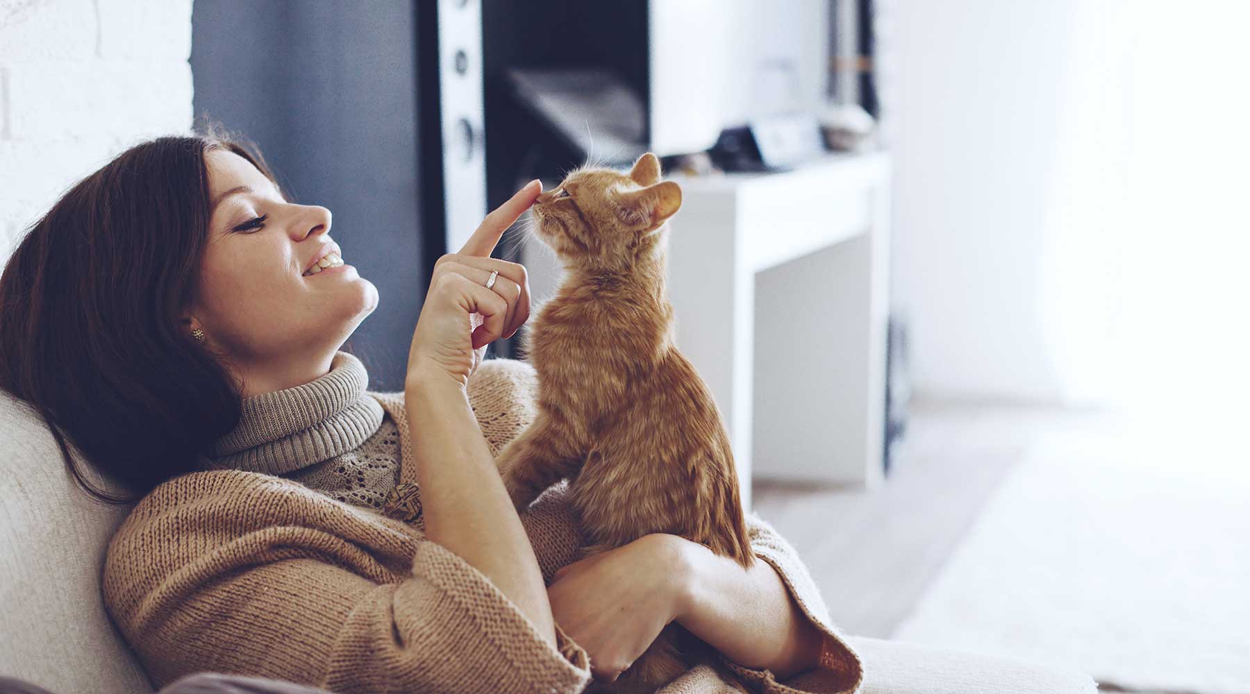 Young woman playing with cat