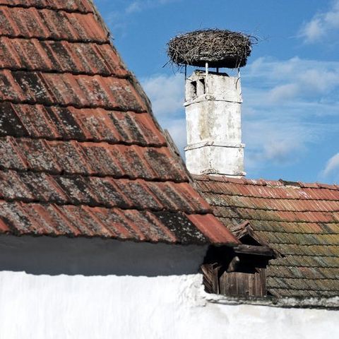 old roof