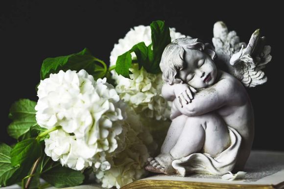 realizzazione allestimenti floreali