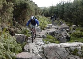 7Stanes MTB Mountain biking holidays on the 7Stanes route in Scotland