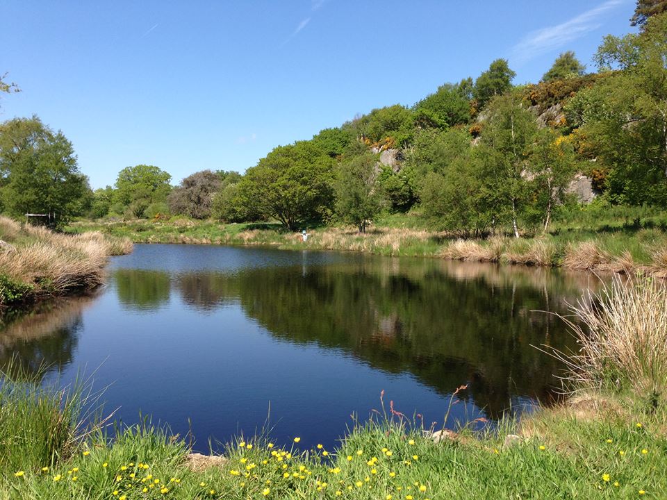 Children's Gold Panning Dumfries and Galloway Scotland