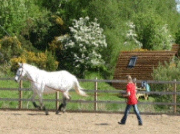 Horse Holidays Scotland