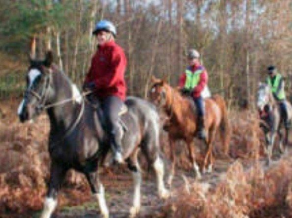 Horse Hacking Scotland