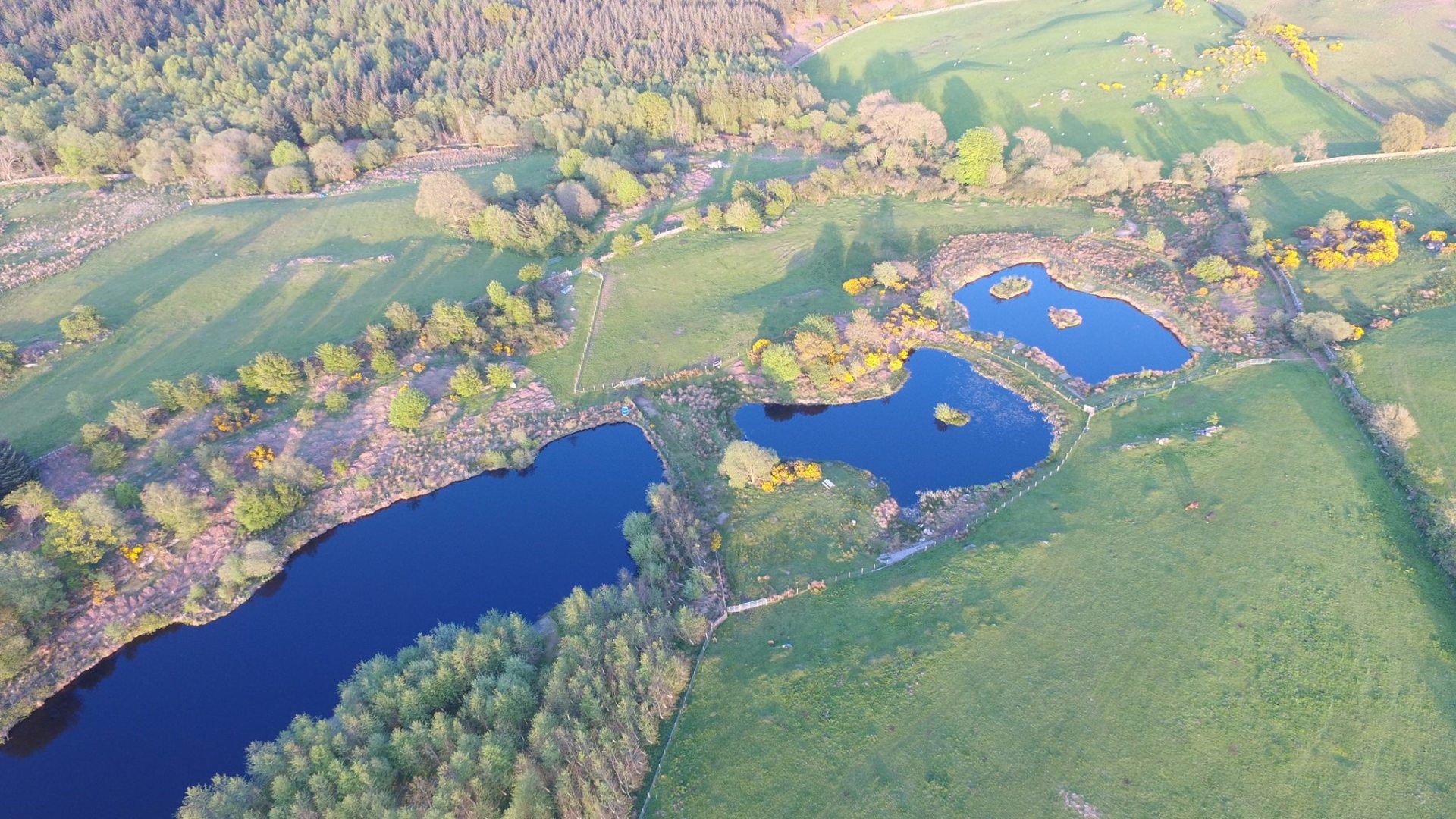 Aerial view of the various fishing pools at Greenhill Fishery near Dalbeattie
