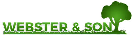 Webster & Son Landscapes Ltd-LOGO Webster & Son Landscapes Ltd-LOGO