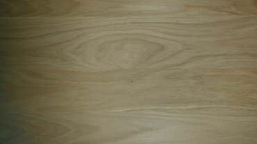 Prime Oak Laminated European Oak Panels