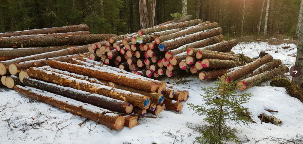 Scandinavian Redwood Logs