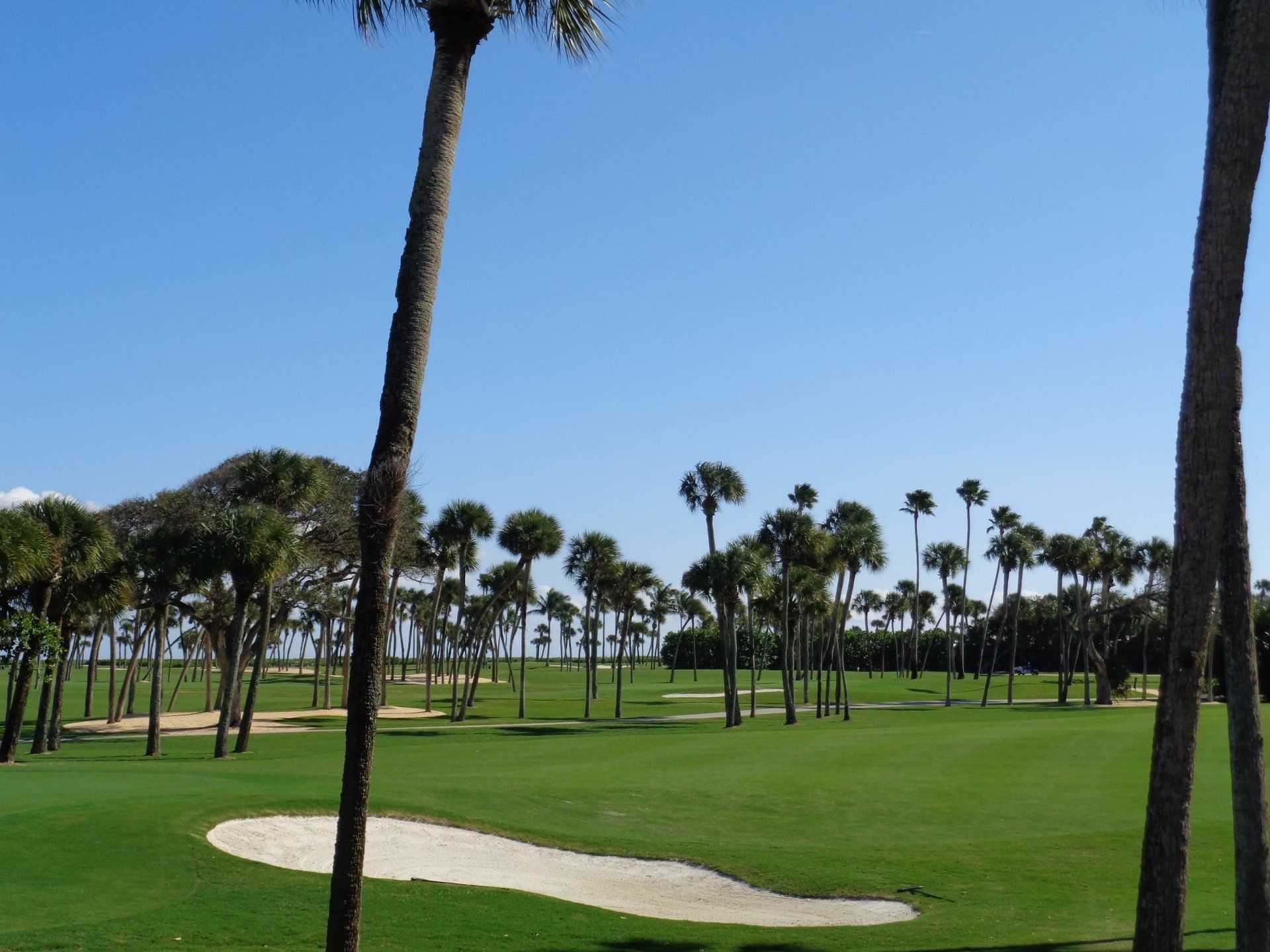 Golf course