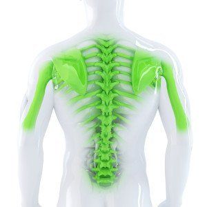 spine-back-chiropractic-treatments