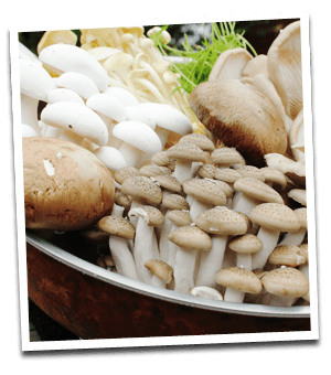 Fresh Fruit - Tyne and Wear - C & S SUPPLIES - mushrooms