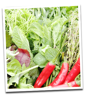 Milk and Dairy - Hexham - C & S SUPPLIES - chili