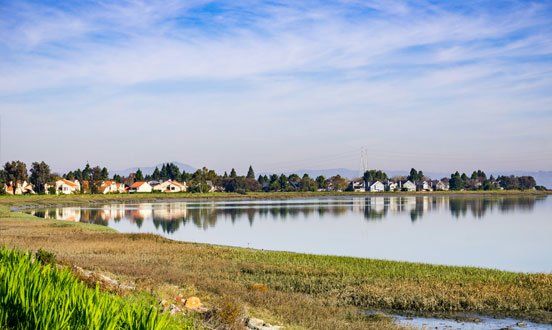 Shoreline — Chesterton, IN — Lake & Pond Biologists LLC Shoreline — Chesterton, IN — Lake & Pond Biologists LLC