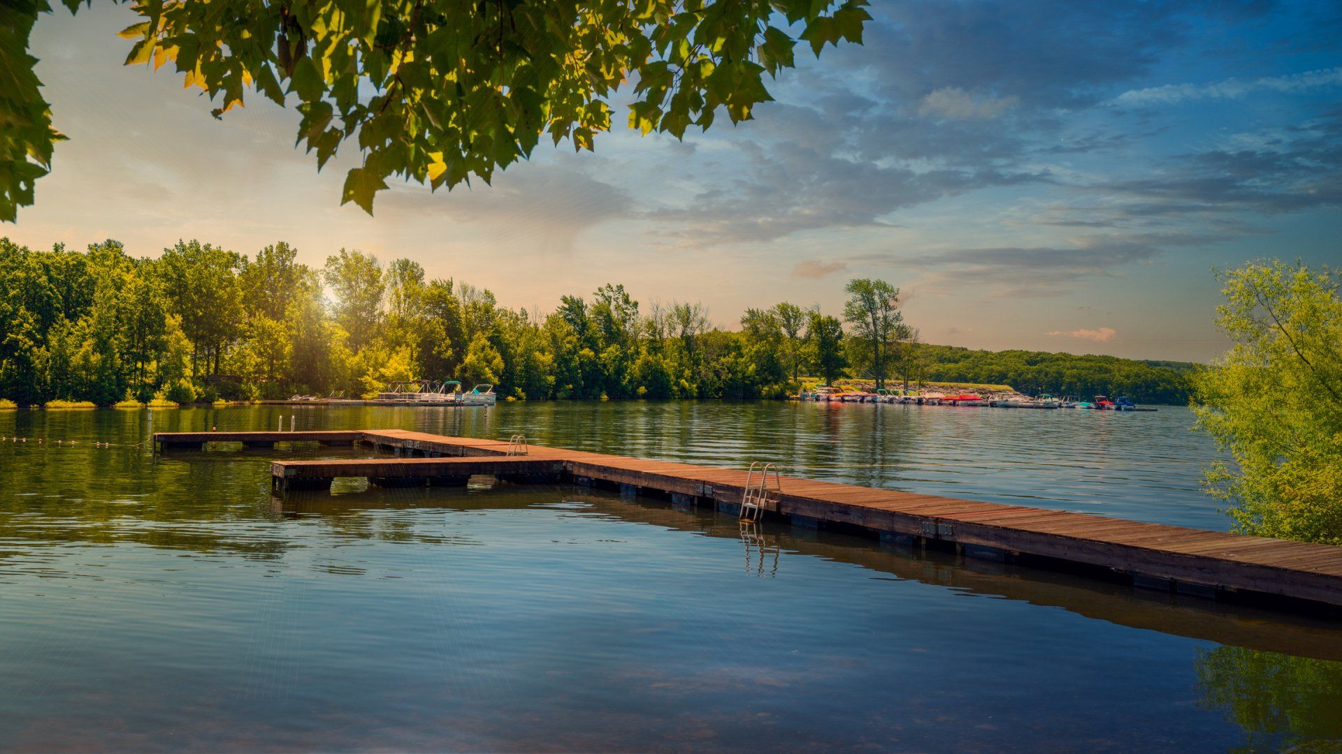 Clean Pond — Chesterton, IN — Lake & Pond Biologists LLC