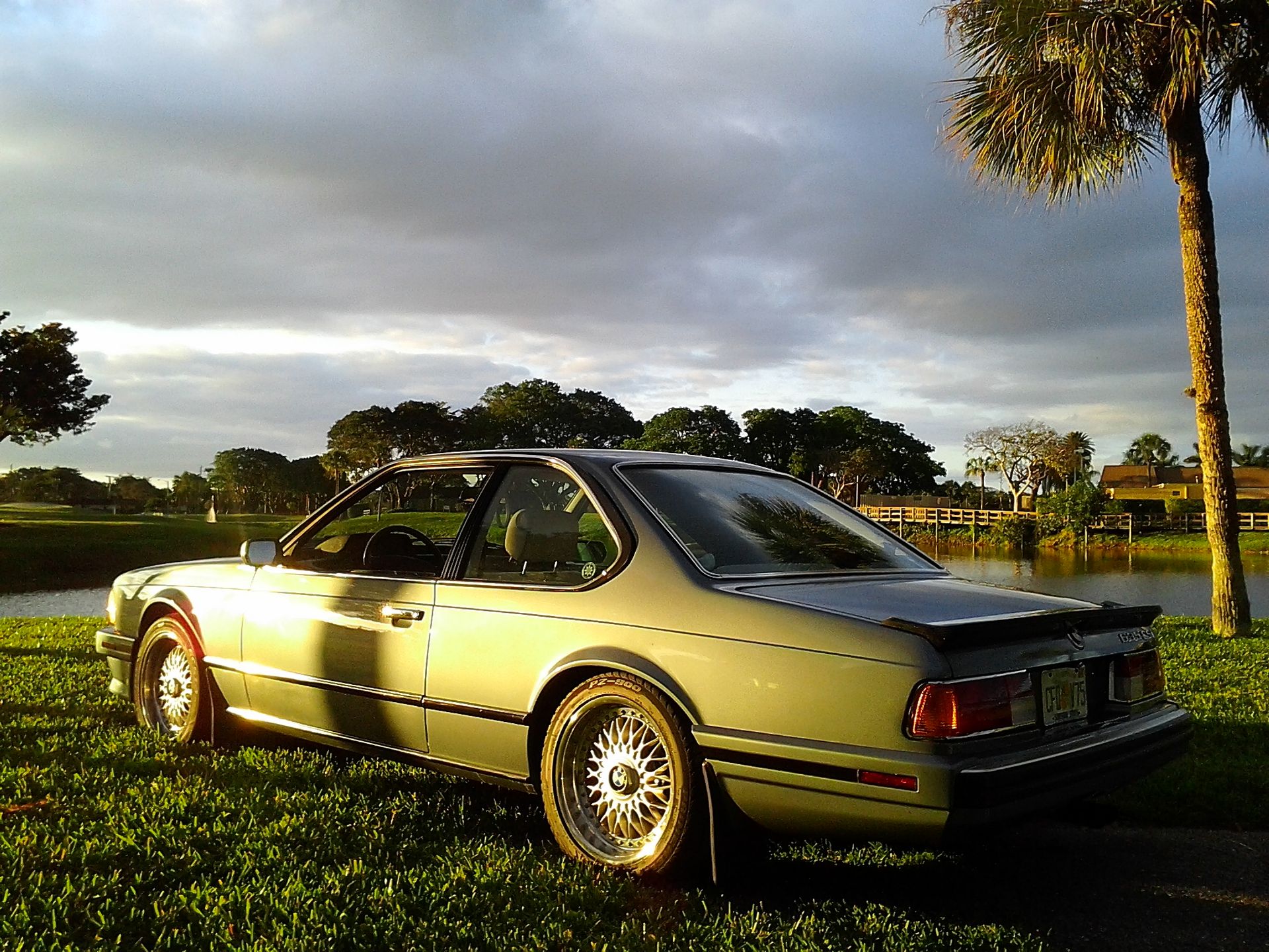 A car is parked in the grass near a body of water