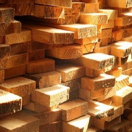 timber