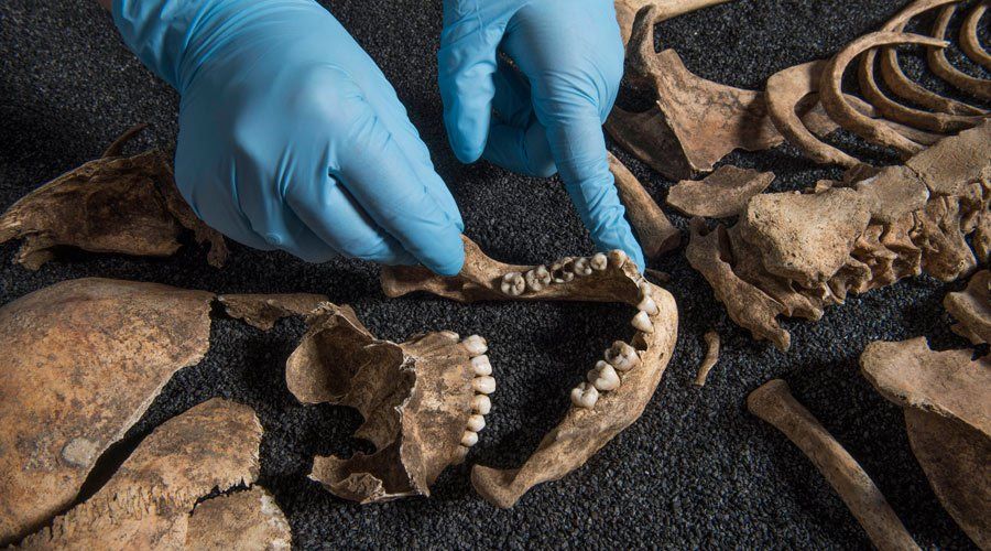 Osteology