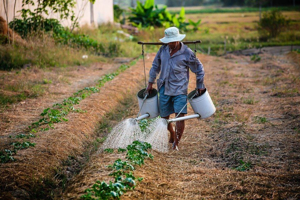 agua en la bolsa de valores agua en la bolsa de valores