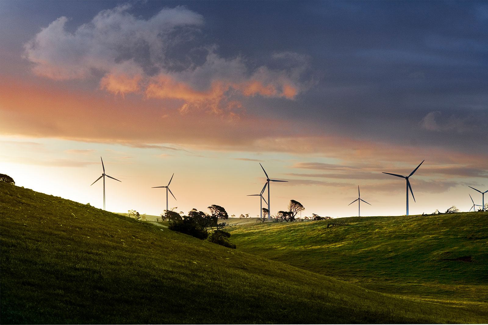 Infigen Energy - Lake Bonney Farm