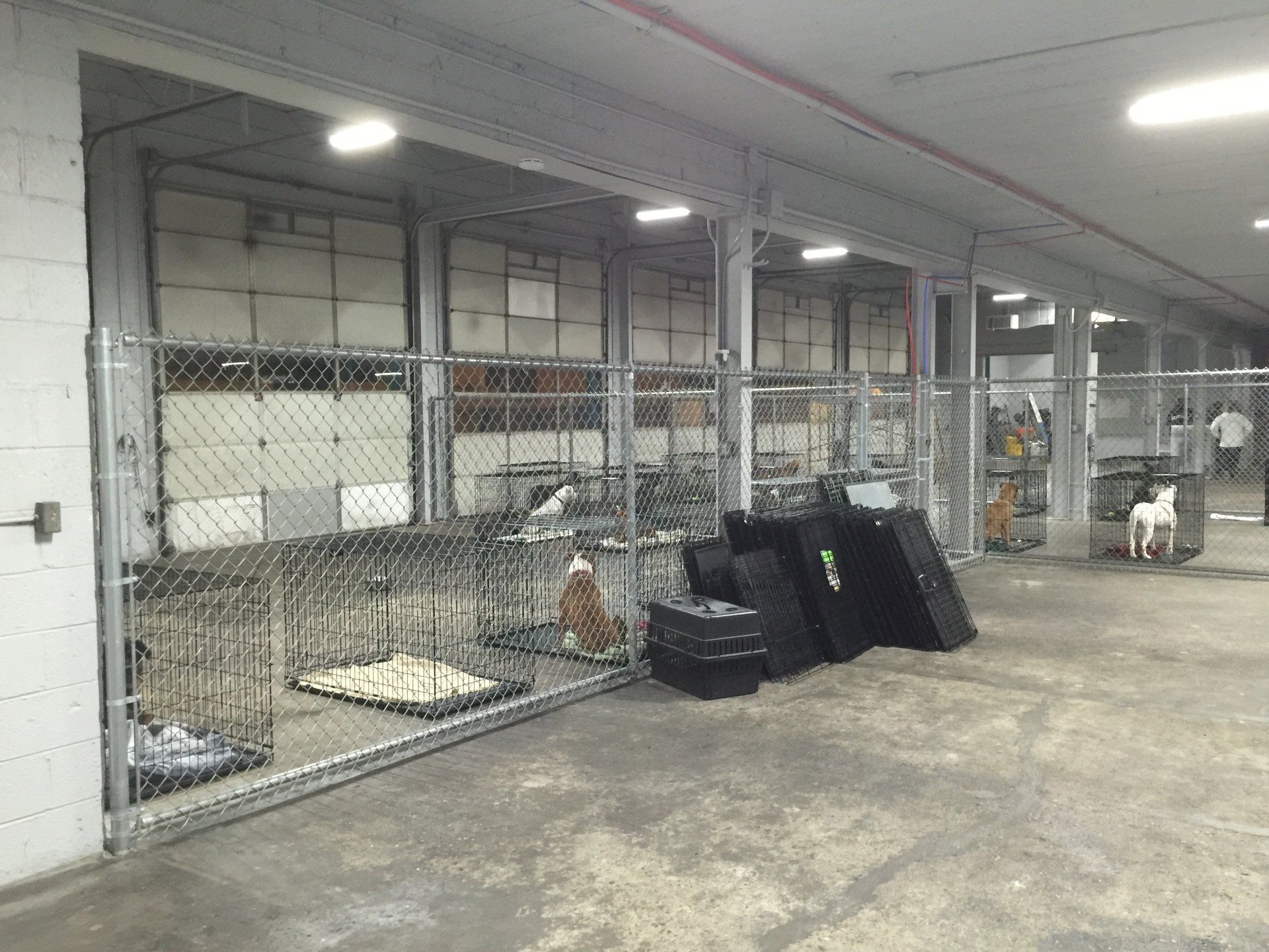 Batting Cages ─ Chain Link Kennels in Township, MI
