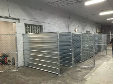 Dog Kennels ─ Dog Behind Bars in Township, MI