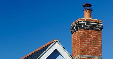 Nest Removals