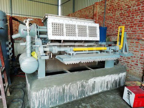 egg carton making machine