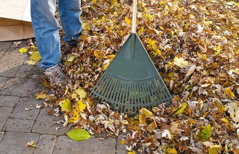 garden cleaning