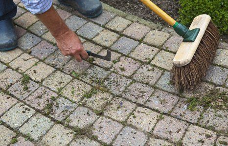 garden patios cleaning