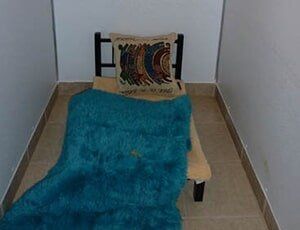 Groomer Picture — Bed on the Suite in Lansing, MI