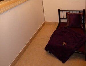 Cat Services — Cat Sleeping Bed in Lansing, MI
