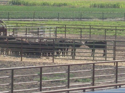 4- Rail pipe-S.R.-5