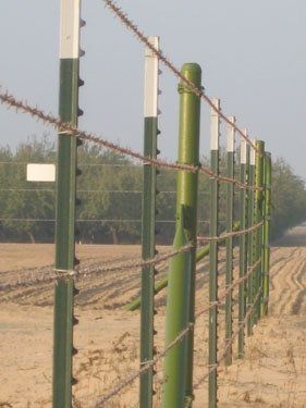 Barbwire-3