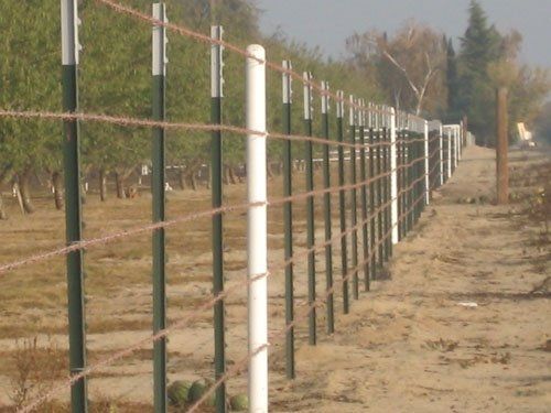 Barbwire-4