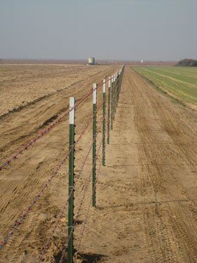 Barbwire-5