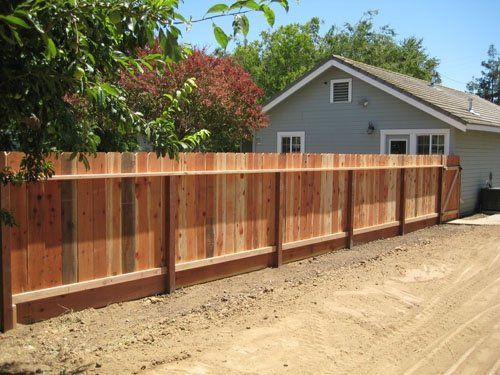 Redwood (Back View)