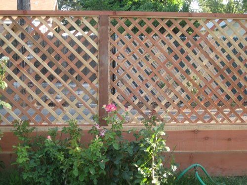 Redwood Lattice-2