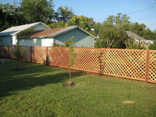 Redwood Lattice