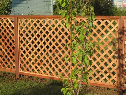 4 foot R.W. Lattice