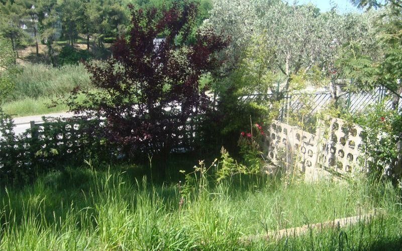 Giardino incolto
