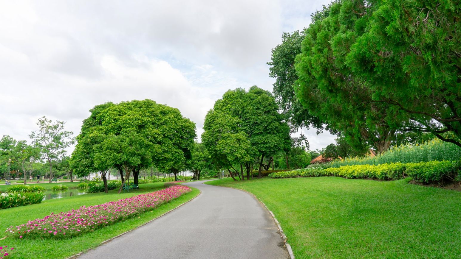 Parco pubblico