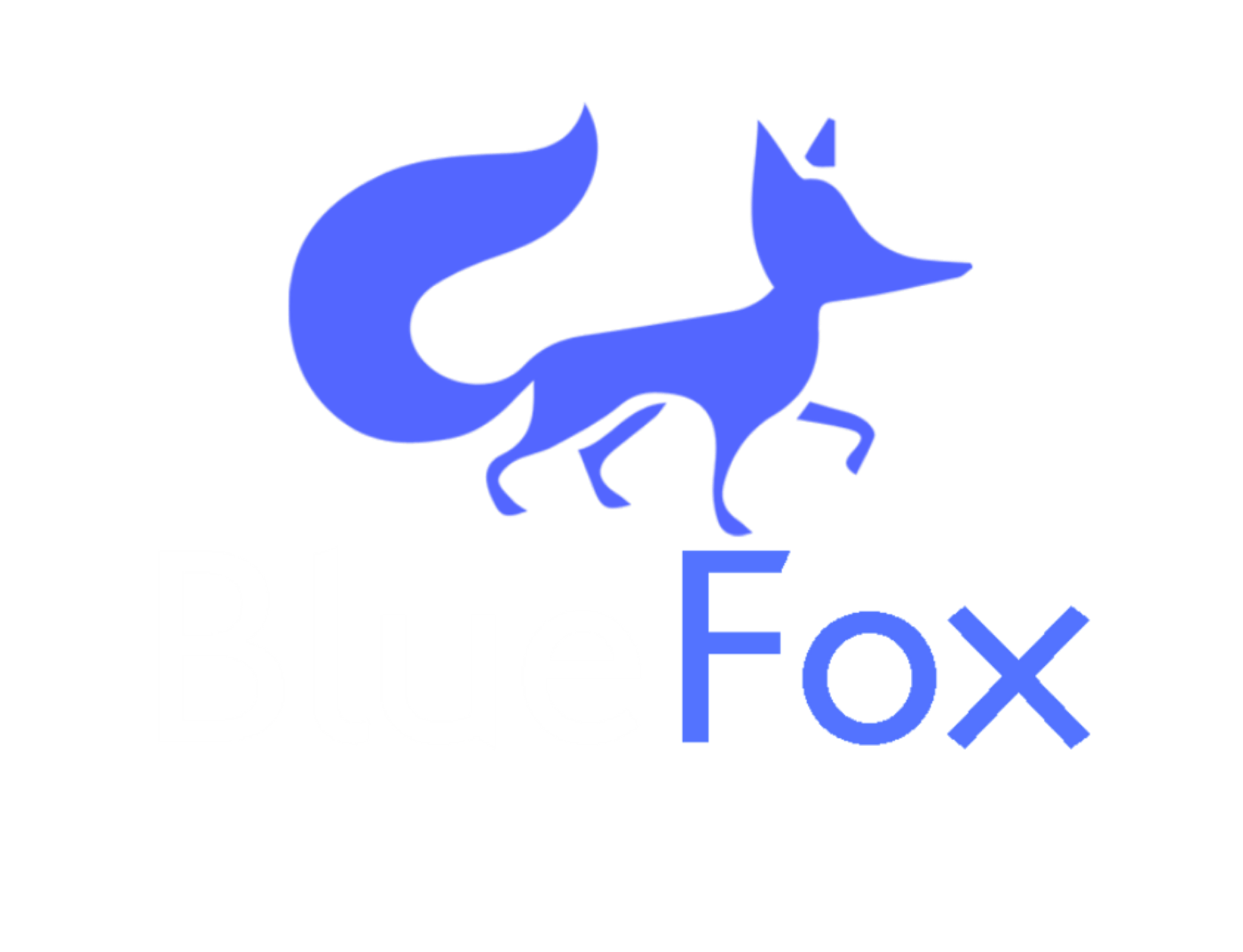 Blue Fox Blue Fox