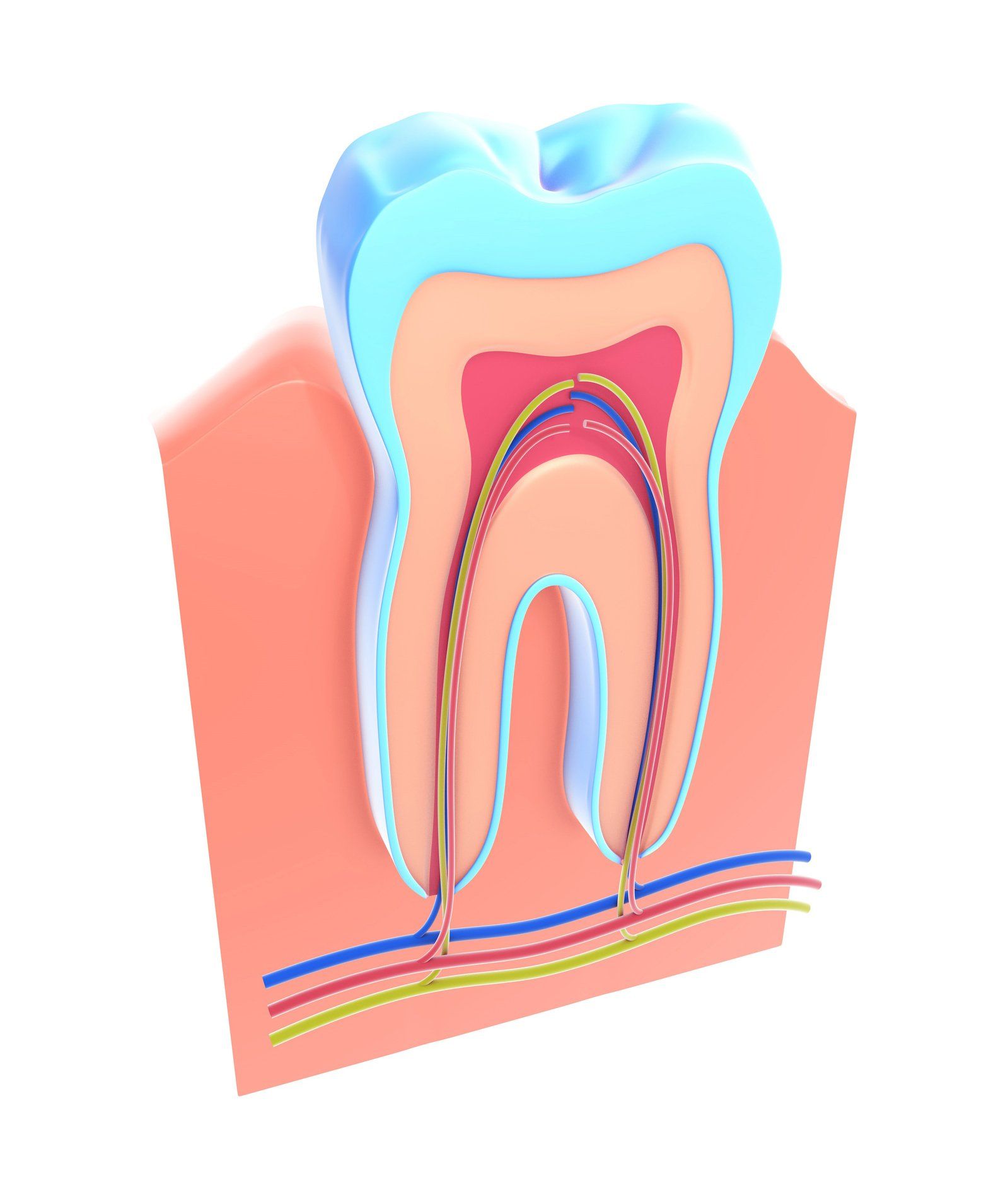 Tooths Vein — Eastpointe, MI — Eastland & Professional Dental Center