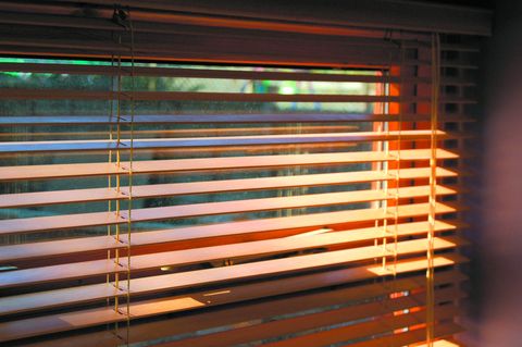 blinds for glass walls