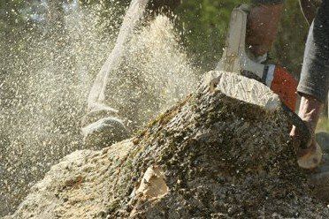 stump grinding