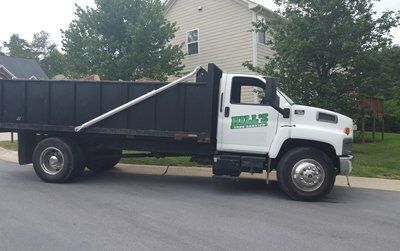 Tree Services Cary, Chapel Hill & Hillsborough, NC