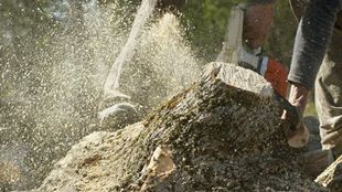Stump Grinding Wake Forest & Durham, NC